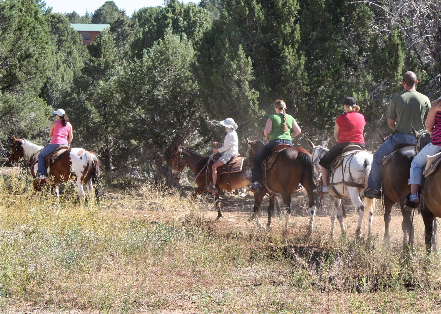 Zion Ponderosa Ranch Resort Springdale Ngoại thất bức ảnh